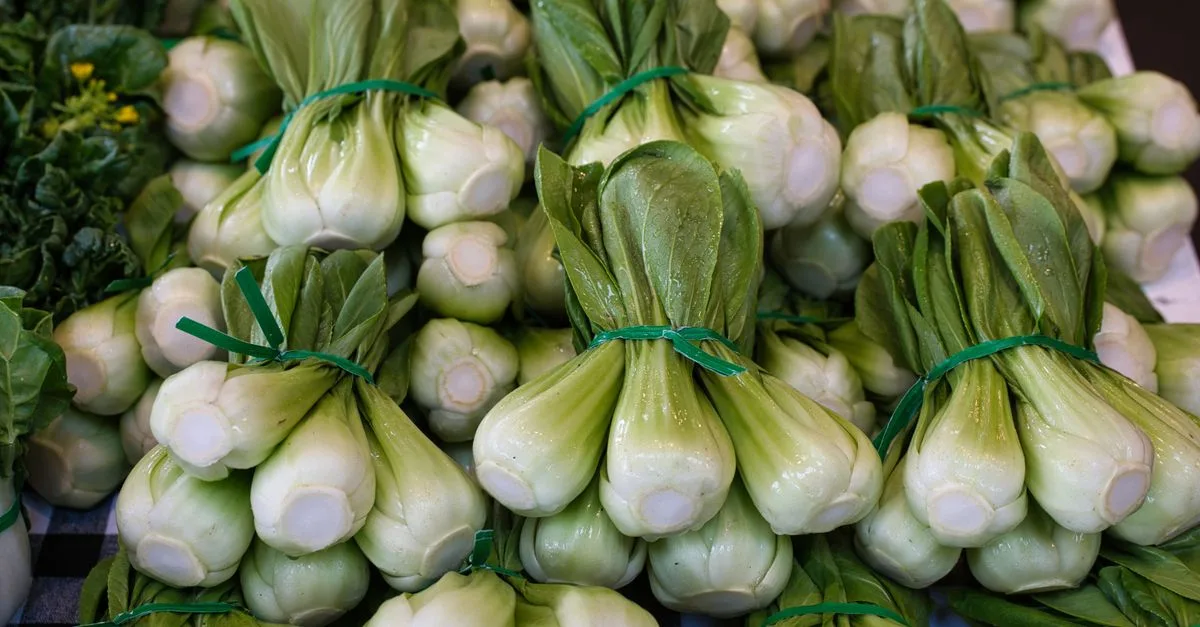 Close-up of fresh pak choi at a market in Olympia, WA. Ideal for food blogs and culinary websites.