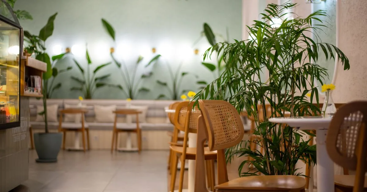 A serene cafe interior featuring wooden chairs, tables, and lush greenery.