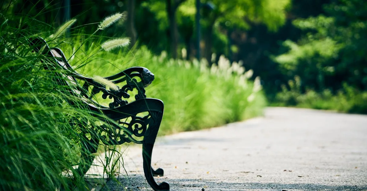 A serene park scene featuring a decorative iron bench surrounded by lush green plants.