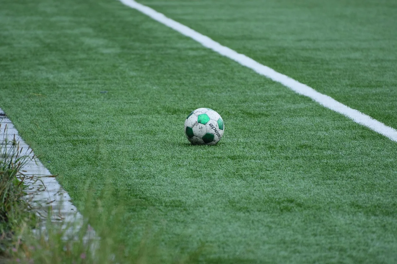 A professional soccer stadium pitch prepared for a match.