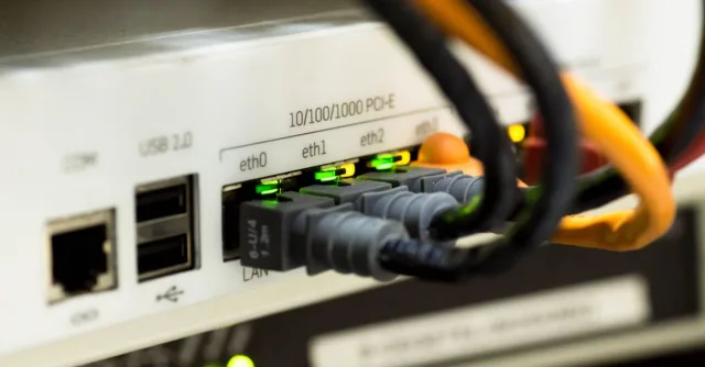 Detailed close-up of ethernet cables and network connections on a router, showcasing modern technology.