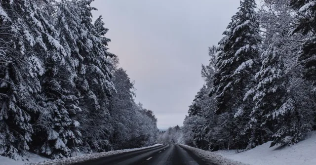 Snow-covered road amid frosty forest in Sweden during winter.
