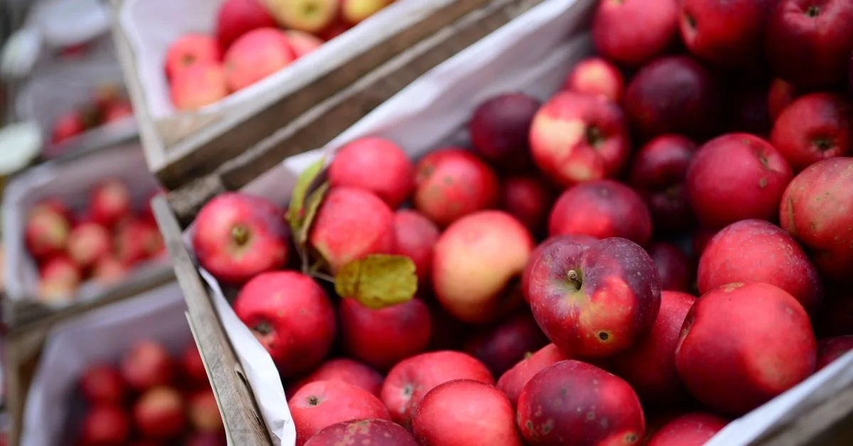 Vibrant, fresh red apples on display at an outdoor market, showcasing abundance and quality.