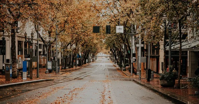 A quiet city street in fall, lined with trees displaying colorful autumn leaves.
