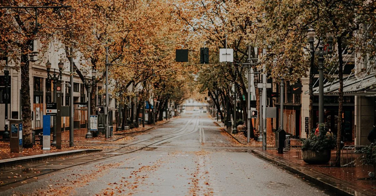 A quiet city street in fall, lined with trees displaying colorful autumn leaves.