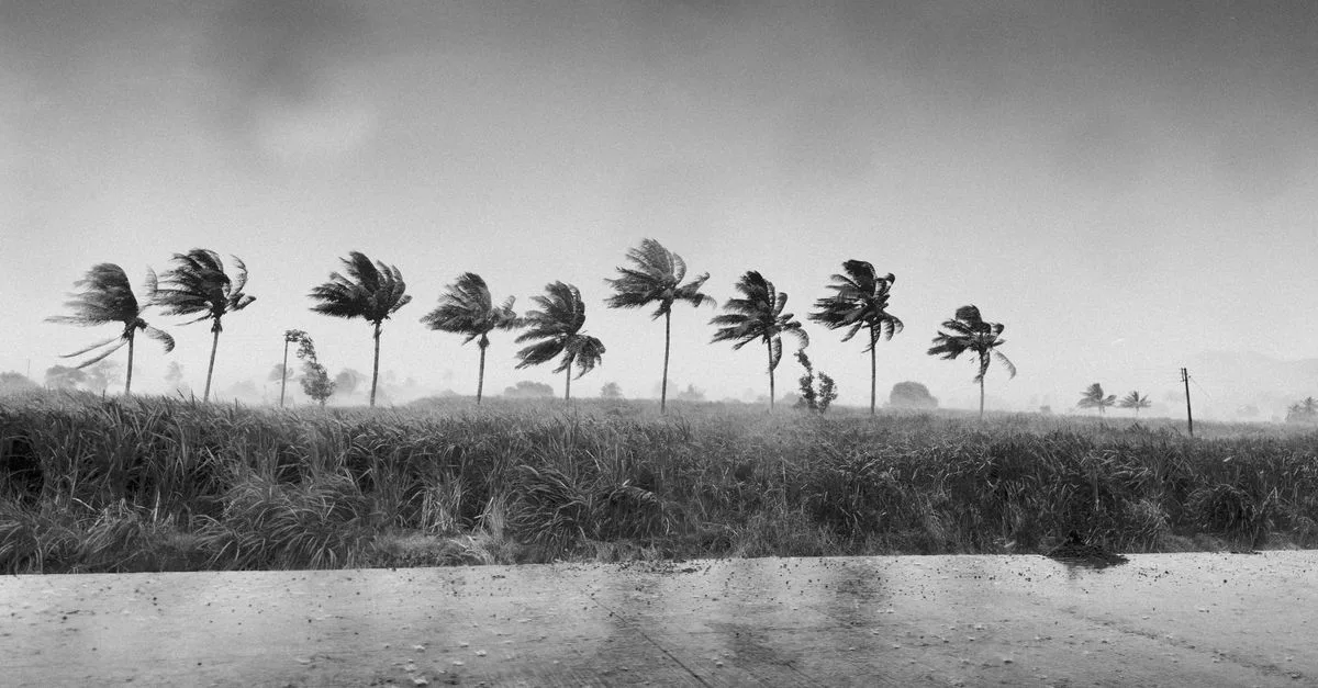 Black and white landscape of a stormy tropical scene in Kameri, India.