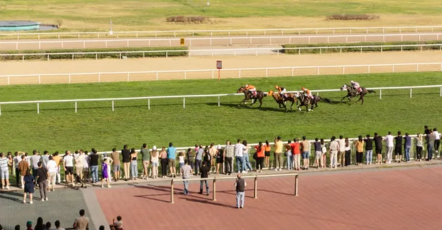 Spectators watch an exciting horse race on a sunny day at a racetrack. Vibrant and competitive atmosphere.