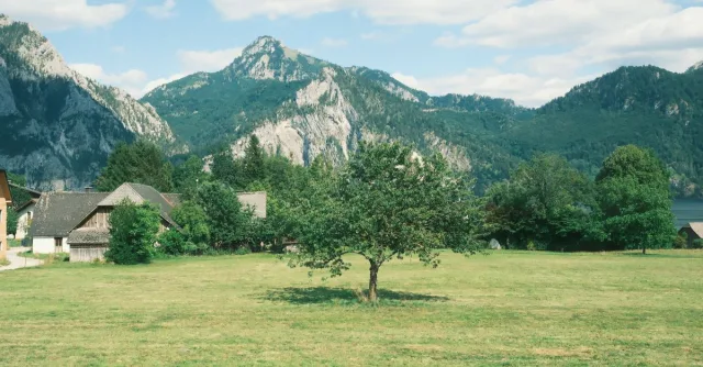 Serene landscape in Upper Austria featuring a lone tree, rustic buildings, and majestic mountains under a blue sky.