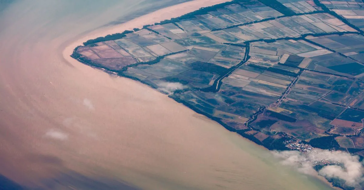 Stunning aerial shot capturing coastal farmland merging into the sea with distinct clarity.