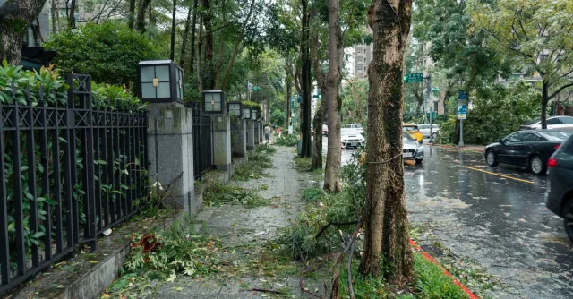 Street in Taipei affected by typhoon showing fallen branches and debris.
