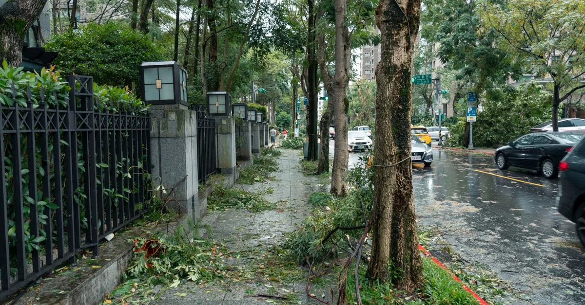Street in Taipei affected by typhoon showing fallen branches and debris.