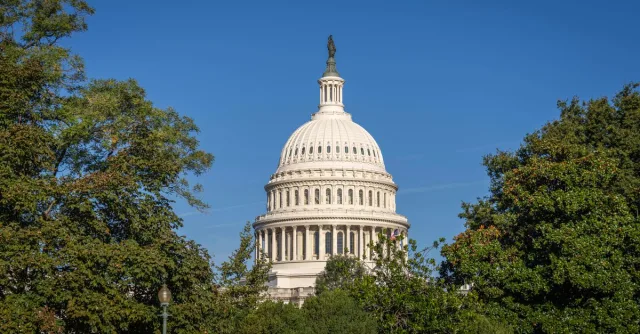 A stunning day view of the US Capitol Building framed by lush trees under a clear blue sky.