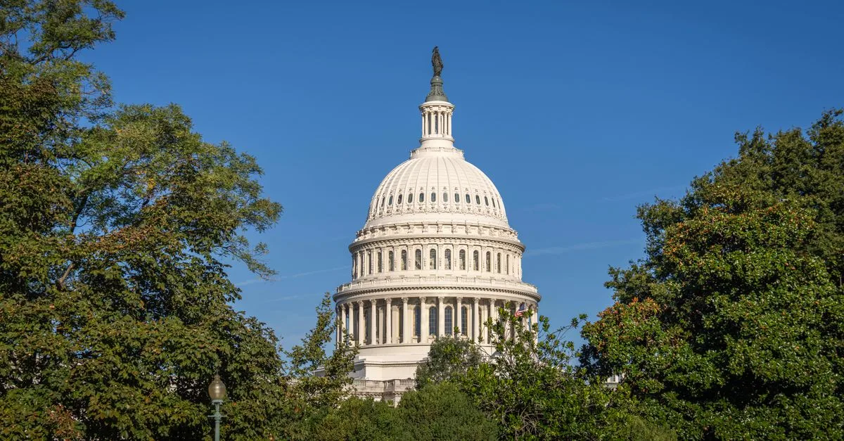 A stunning day view of the US Capitol Building framed by lush trees under a clear blue sky.