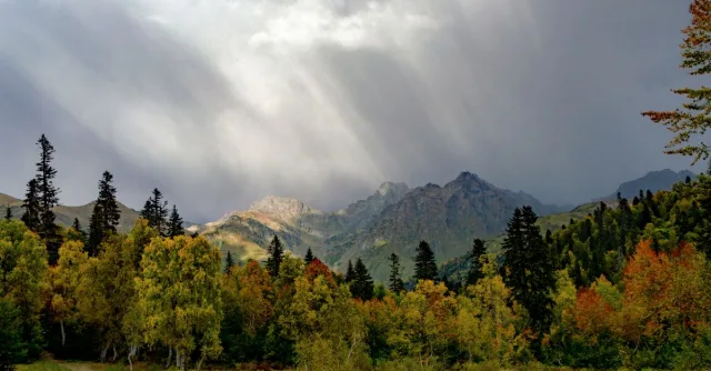 Vibrant autumn forest with mountains and dramatic sky. Ideal for nature lovers.