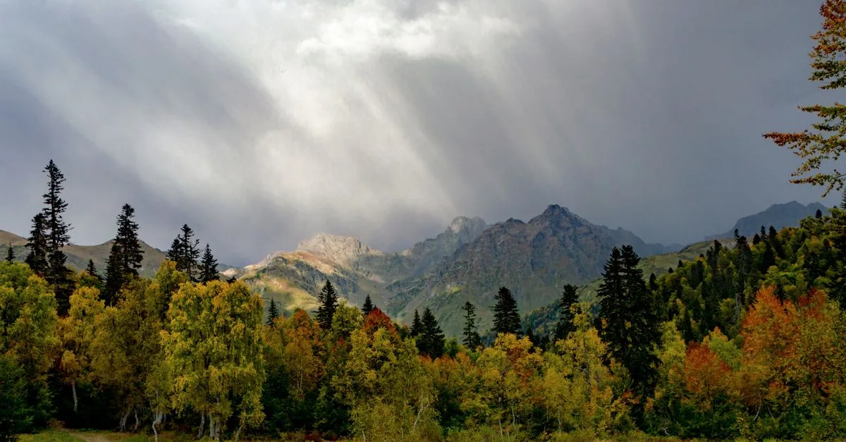Vibrant autumn forest with mountains and dramatic sky. Ideal for nature lovers.