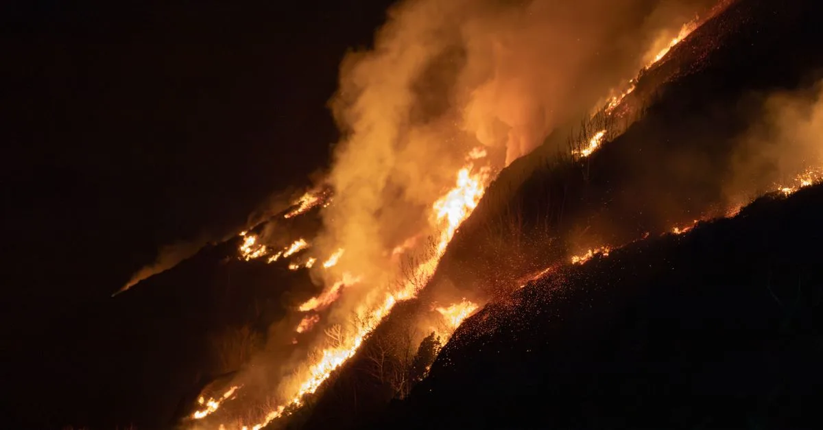 Intense blaze sweeping through a steep mountain forest at night, highlighting wildfire impact.