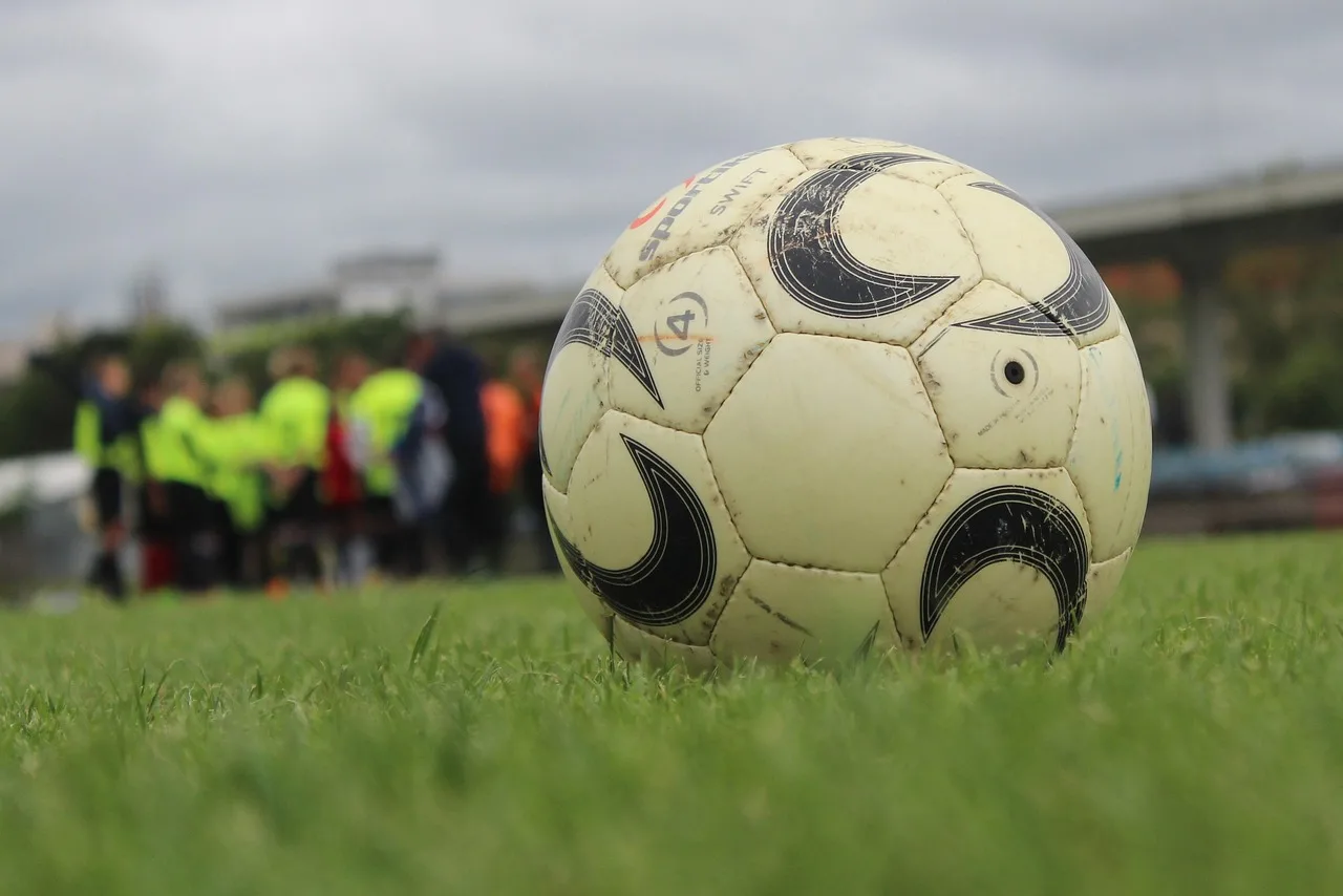A wide shot of a professional football pitch inside a stadium.