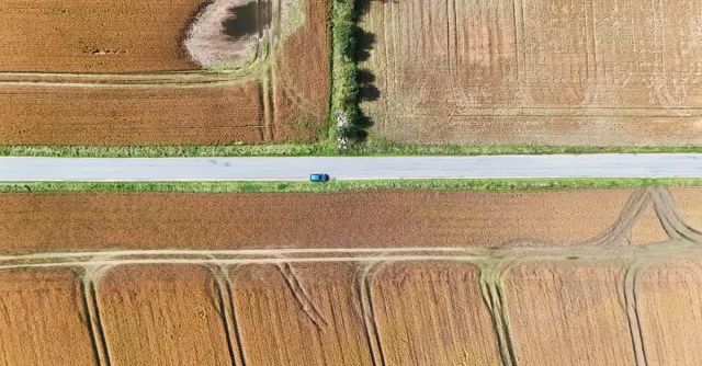 Drone shot of a car traveling between golden agricultural fields in Denmark.