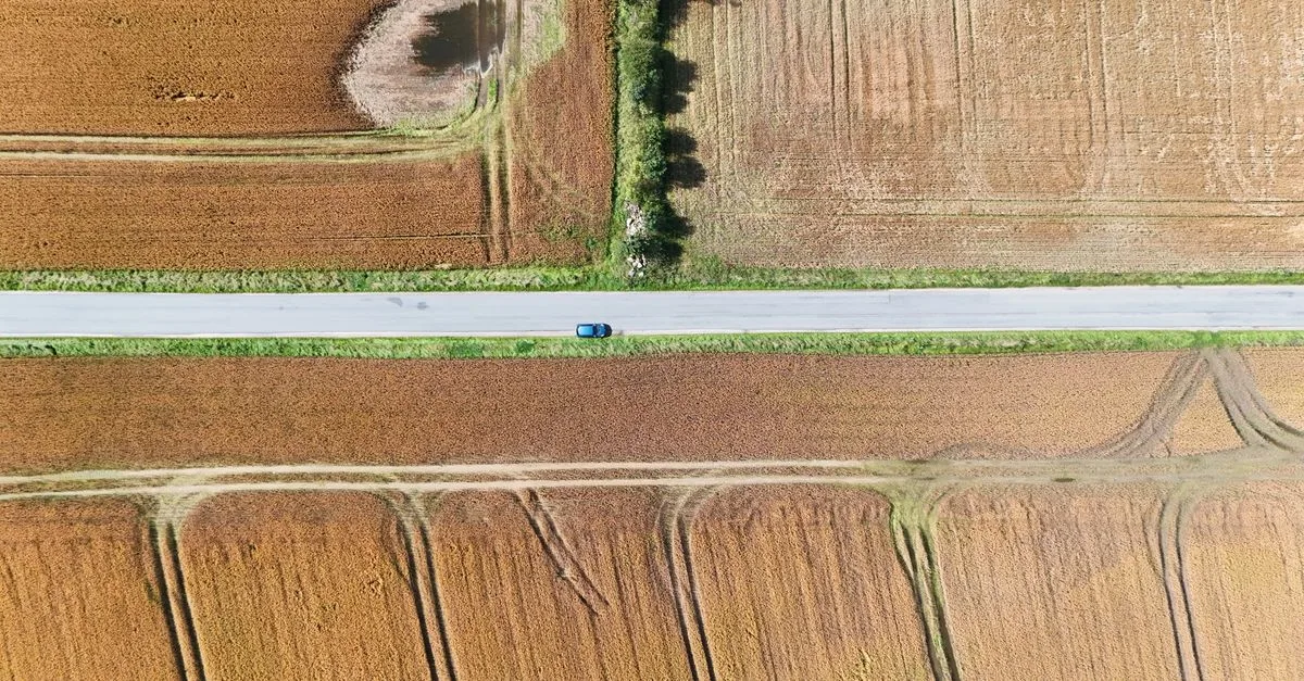Drone shot of a car traveling between golden agricultural fields in Denmark.